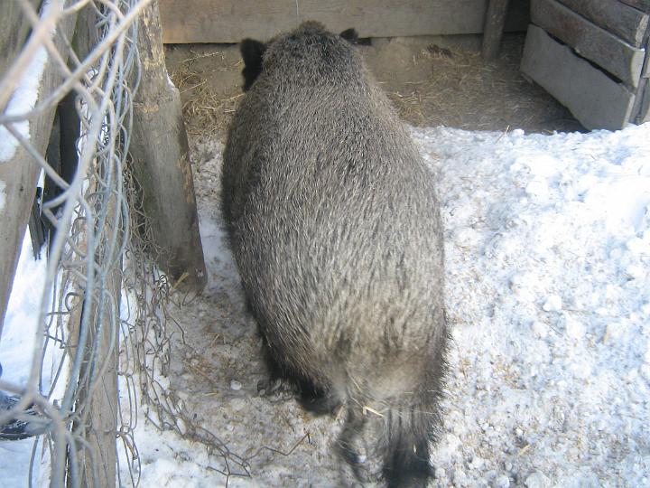 zad 072.jpg